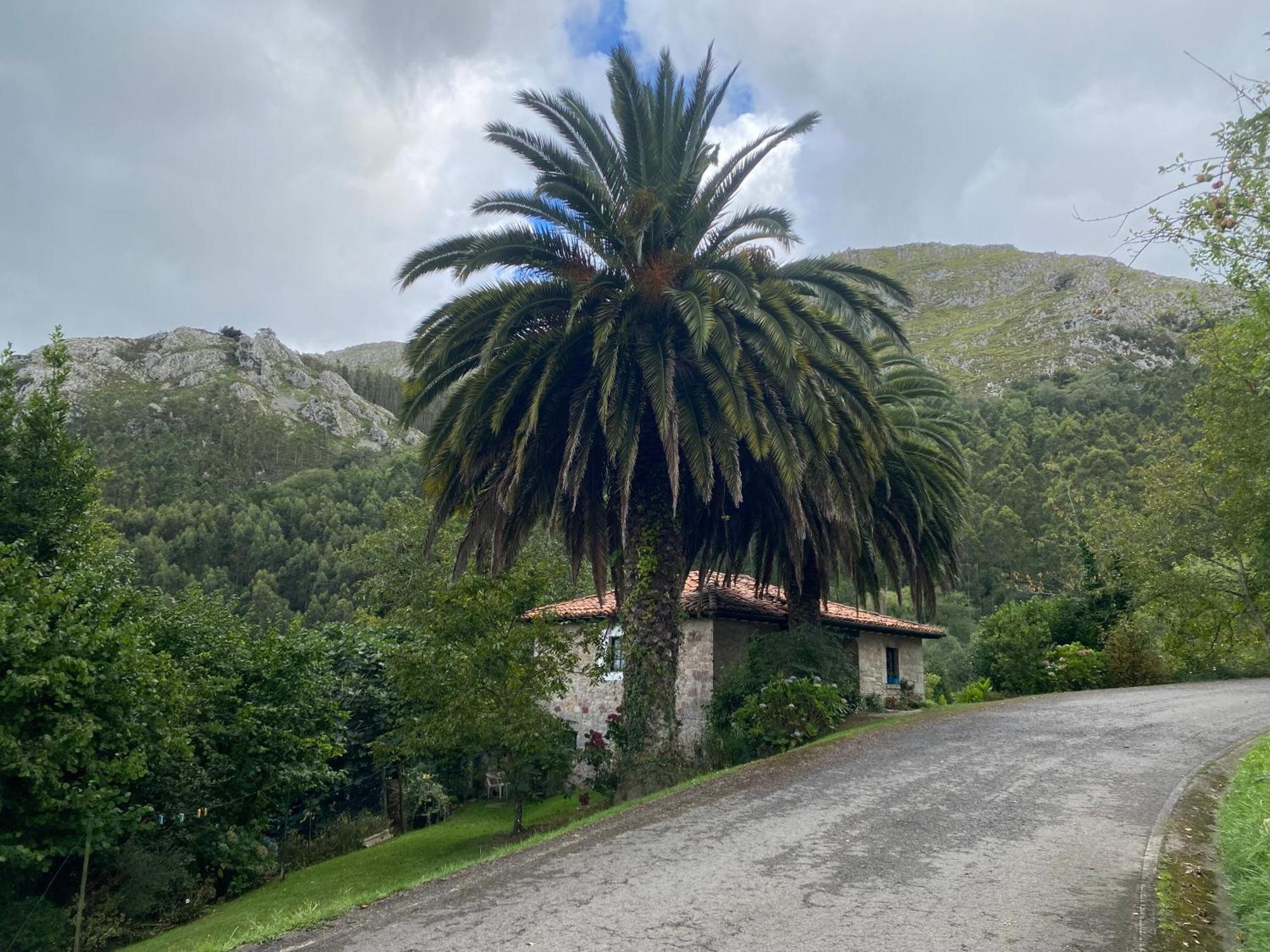 Casa Estilo Rural Con Jardin Entre Playa Y Montana Villa Caravia Dış mekan fotoğraf